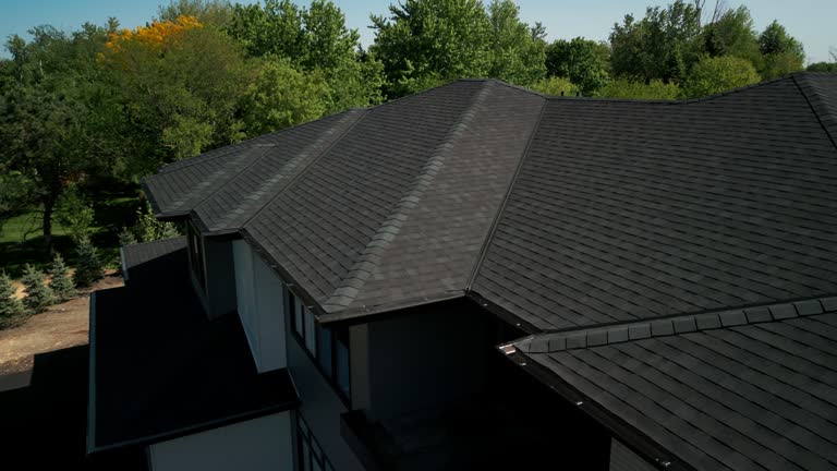 Best Asphalt Shingle Roofing  in Grant, MN